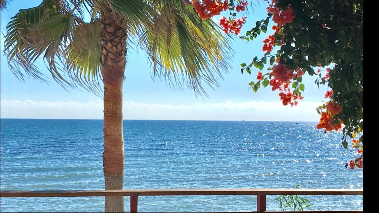 Mi Capricho 3-5 Beachfront- Apartment With Sea Views In Costa Del Sol Sitio de Calahonda Kültér fotó
